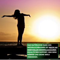Weihrauch Extrakt 85% Pulver 100 g