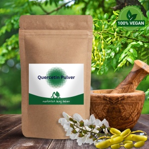 Quercetin 98% Pulver 100 g vegan  (Extrakt aus japanischem Schnurbaum)