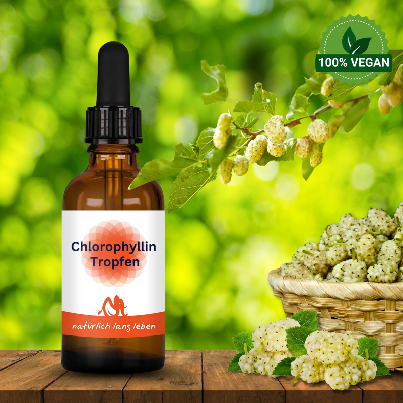 Chlorophyllin Tropfen 30 ml vegan