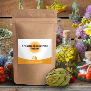 Artischockenextrakt Pulver 100 g  2,5 % Cynarin