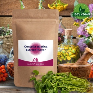 Centella asiatica Extrakt 400 mg (Gotu Kola Extrakt)...