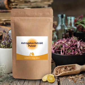 Astragalus Extrakt 100 g Pulver (Astragalus membranaceus) Tragant