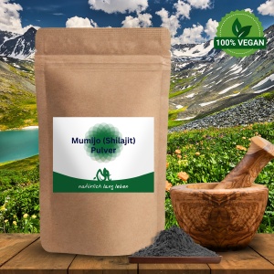 Mumijo (Shilajit) Extrakt Pulver 100 g