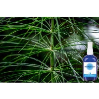 BIO Ackerschachtelhalm Hydrolat 100 ml