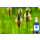 BIO Spitzwegerich Hydrolat 100 ml