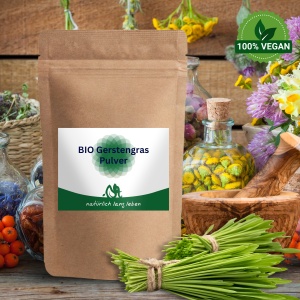 Gerstengras Pulver 300 g