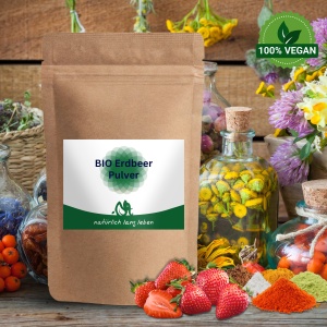 BIO Erdbeer Pulver (Fisetin) 100 g vegan