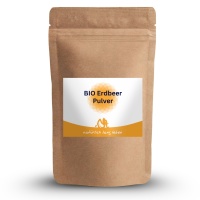 BIO Erdbeer Pulver gefriergetrocknet 100 g vegan