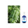 BIO Zitronenverbene Hydrolat 100 ml