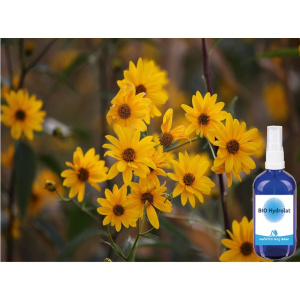 BIO Arnika Hydrolat 100 ml