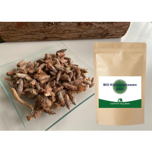 BIO Kiefernsprossen ganz 100 g