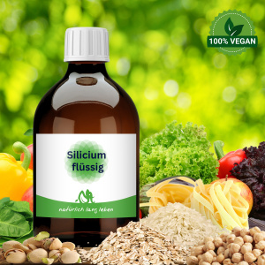 Silicium flüssig 500 ml vegan, MMST