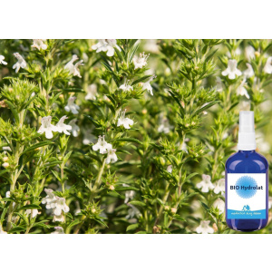 BIO Bergbohnenkraut Hydrolat 100 ml